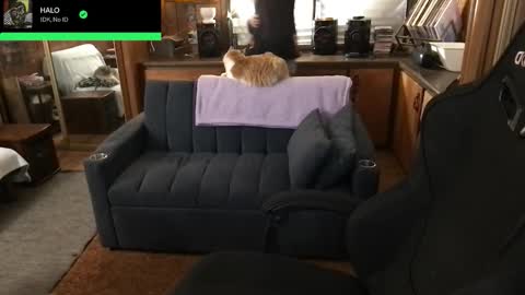 Carter online show from February 5, 4:39 am