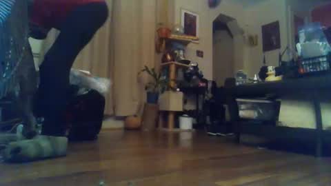 indigo_scorpio online show from November 14, 8:13 am