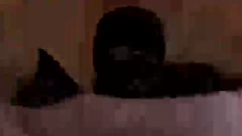 Snapshot of ineedapervdom chatting on December 3, 2:52 am PrettyfatNfem online show from December 3, 2:52 am