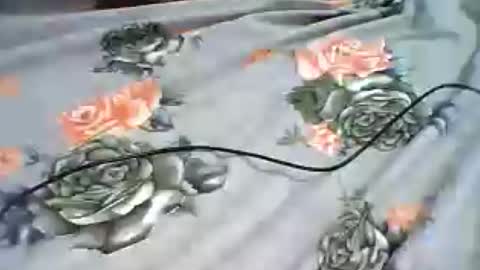 Snapshot of inejhtin chatting on June 24, 4:00 am inejhtin online show from June 24, 4:00 am