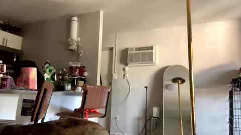 Snapshot of intothewoodswego chatting on May 27, 8:17 pm IntoTheWoodsWeGo online show from May 27, 8:17 pm