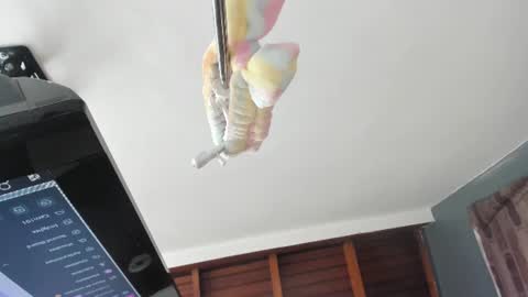 Snapshot of isabela_gomez3 chatting on June 15, 1:57 pm Isabela online show from June 15, 1:57 pm