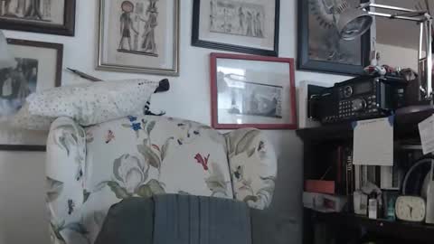 ImYourBitch online show from May 17, 5:31 pm