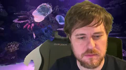 pain online show from December 4, 12:53 am