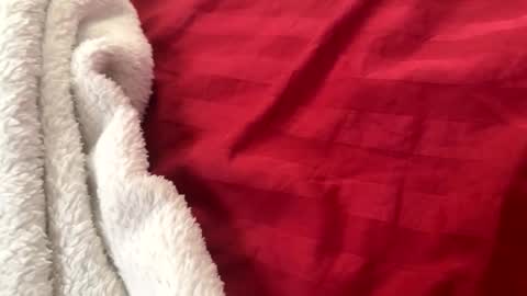 itsjayyourbae online show from November 22, 2:05 pm