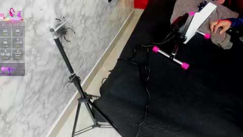 Ivis  online show from October 30, 12:17 pm