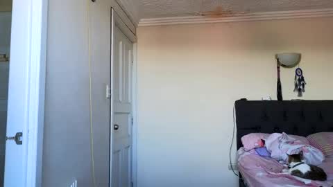 Jack online show from April 1, 4:59 pm