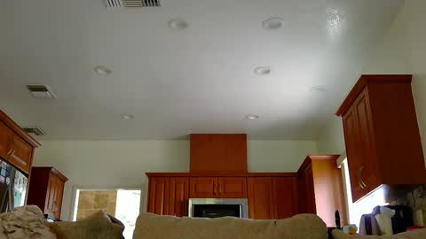 jacktome369 online show from November 11, 7:58 pm