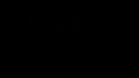 Lovi online show from January 8, 7:21 am