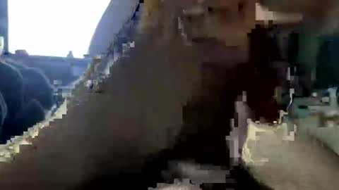 jalenwnut online show from May 25, 4:29 am