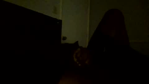 Jamacian online show from February 25, 11:11 pm