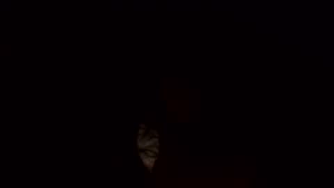 Jamacian online show from March 3, 10:17 am