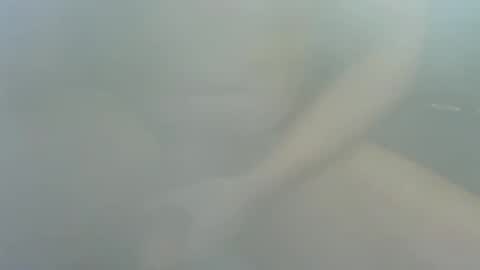 Snapshot of james2377_ chatting on December 22, 2:25 pm James2377 online show from December 22, 2:25 pm