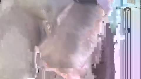 jack online show from September 21, 4:52 pm