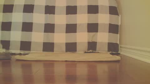 Snapshot of jamesknight57 chatting on April 1, 12:55 am James online show from April 1, 12:55 am