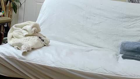 Bootyshows online show from September 17, 12:29 pm