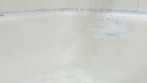 Bootyshows online show from August 4, 3:58 pm