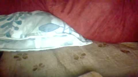 Snapshot of janneparker chatting on November 25, 2:39 pm Janne online show from November 25, 2:39 pm