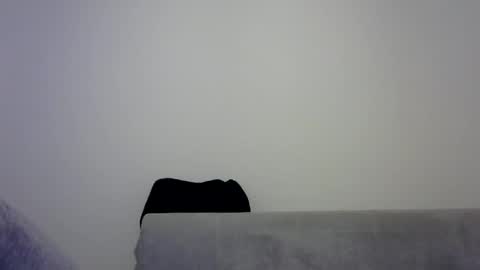 jaspal55 online show from November 9, 2:04 pm