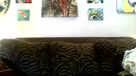 jay-jay1475 online show from March 8, 6:05 pm