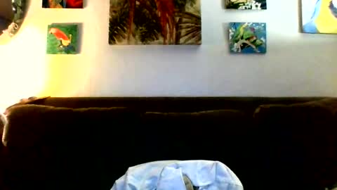 jay-jay1475 online show from July 23, 6:50 pm