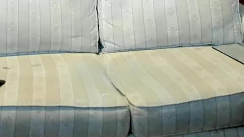 O F   jay short786 online show from January 12, 12:49 am