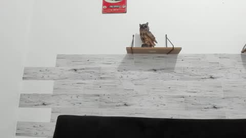 Jaycreedd online show from January 14, 3:23 am