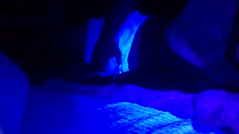 Jaysobricked online show from February 7, 6:35 am