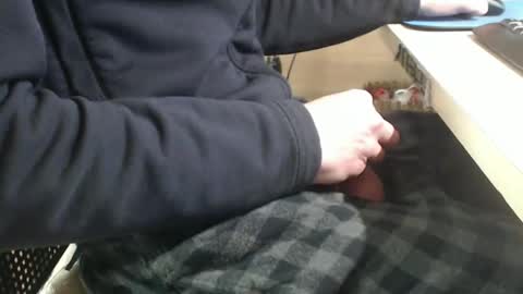 jc200000 online show from January 29, 6:07 pm