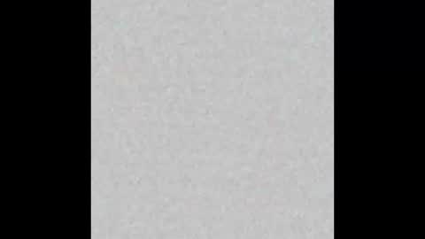 JcMax305 online show from February 19, 7:26 am