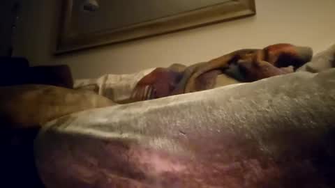 Snapshot of jcramirez1975 chatting on December 21, 3:03 am Jcramirez1975s online show from December 21, 3:03 am