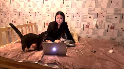 jeannettavidro online show from November 18, 3:05 pm