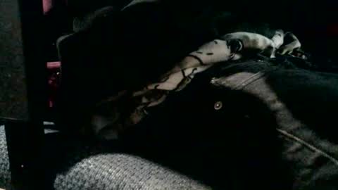 JJ Banks online show from February 19, 4:47 pm