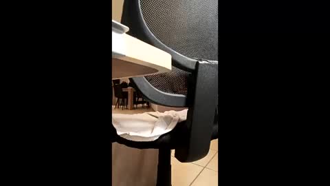 Snapshot of jefffman_74 chatting on May 28, 9:45 pm jefffman_74 online show from May 28, 9:45 pm