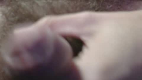 Snapshot of jerkingtyce chatting on May 3, 3:12 am jerkingtyce online show from May 3, 3:12 am
