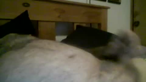 Snapshot of jerkmate6666 chatting on March 12, 11:44 pm jerkmate6666 online show from March 12, 11:44 pm