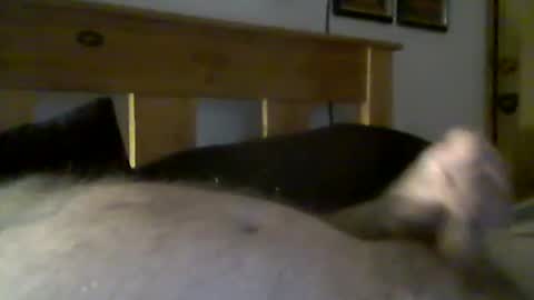 Snapshot of jerkmate6666 chatting on March 15, 9:32 pm jerkmate6666 online show from March 15, 9:32 pm