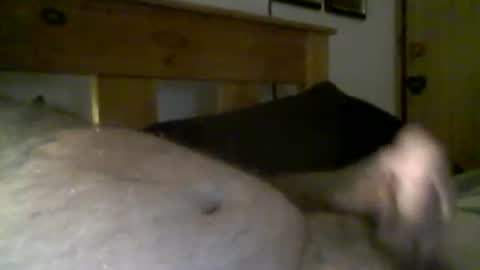 Snapshot of jerkmate6666 chatting on March 16, 8:18 am jerkmate6666 online show from March 16, 8:18 am