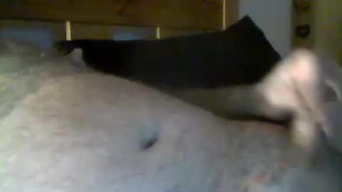 Snapshot of jerkmate6666 chatting on May 1, 10:36 pm jerkmate6666 online show from May 1, 10:36 pm