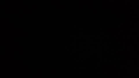 roee online show from December 28, 10:47 am