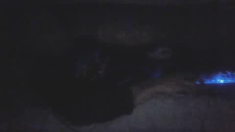 Snapshot of jetjon762844 chatting on February 9, 10:41 am jetjon762844 online show from February 9, 10:41 am