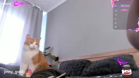 MY NEW INSTA jinny goldy online show from February 15, 7:51 am