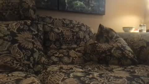 Snapshot of jlk7777 chatting on December 4, 7:01 pm jlk7777 online show from December 4, 7:01 pm