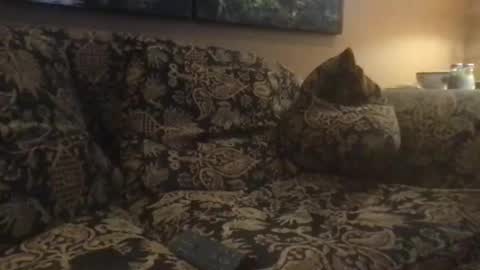 Snapshot of jlk7777 chatting on February 25, 5:04 pm jlk7777 online show from February 25, 5:04 pm