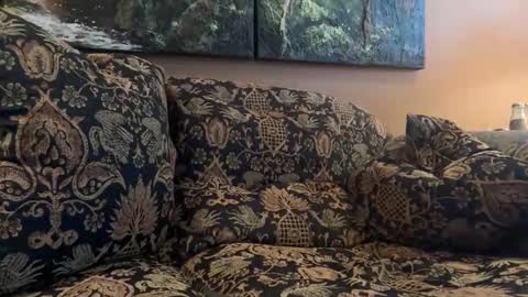 Snapshot of jlk7777 chatting on February 10, 5:17 pm jlk7777 online show from February 10, 5:17 pm