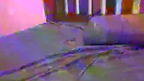 Snapshot of jlrf90 chatting on February 17, 10:29 am tip me online show from February 17, 10:29 am