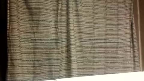 Snapshot of jmartel92 chatting on November 5, 3:39 am jmartel92 online show from November 5, 3:39 am