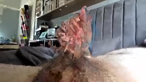 joe66661 online show from July 20, 10:50 am