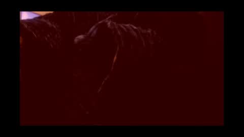 Joeygumbo online show from January 3, 2:19 pm