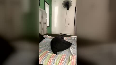 johan online show from January 16, 12:53 pm